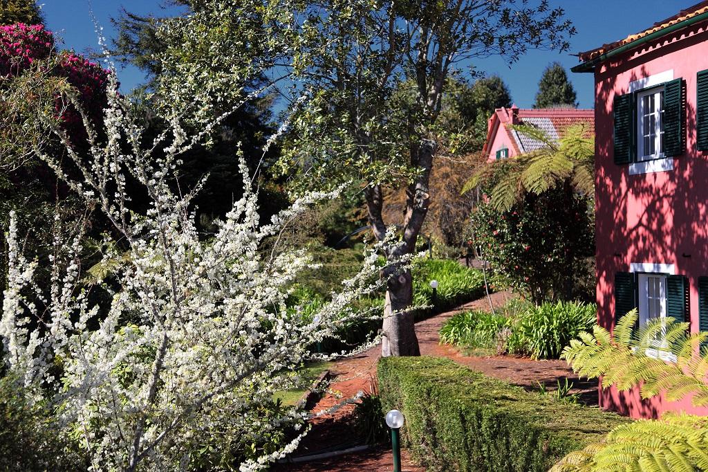 Quinta Santo Antonio Da Serra Extérieur photo