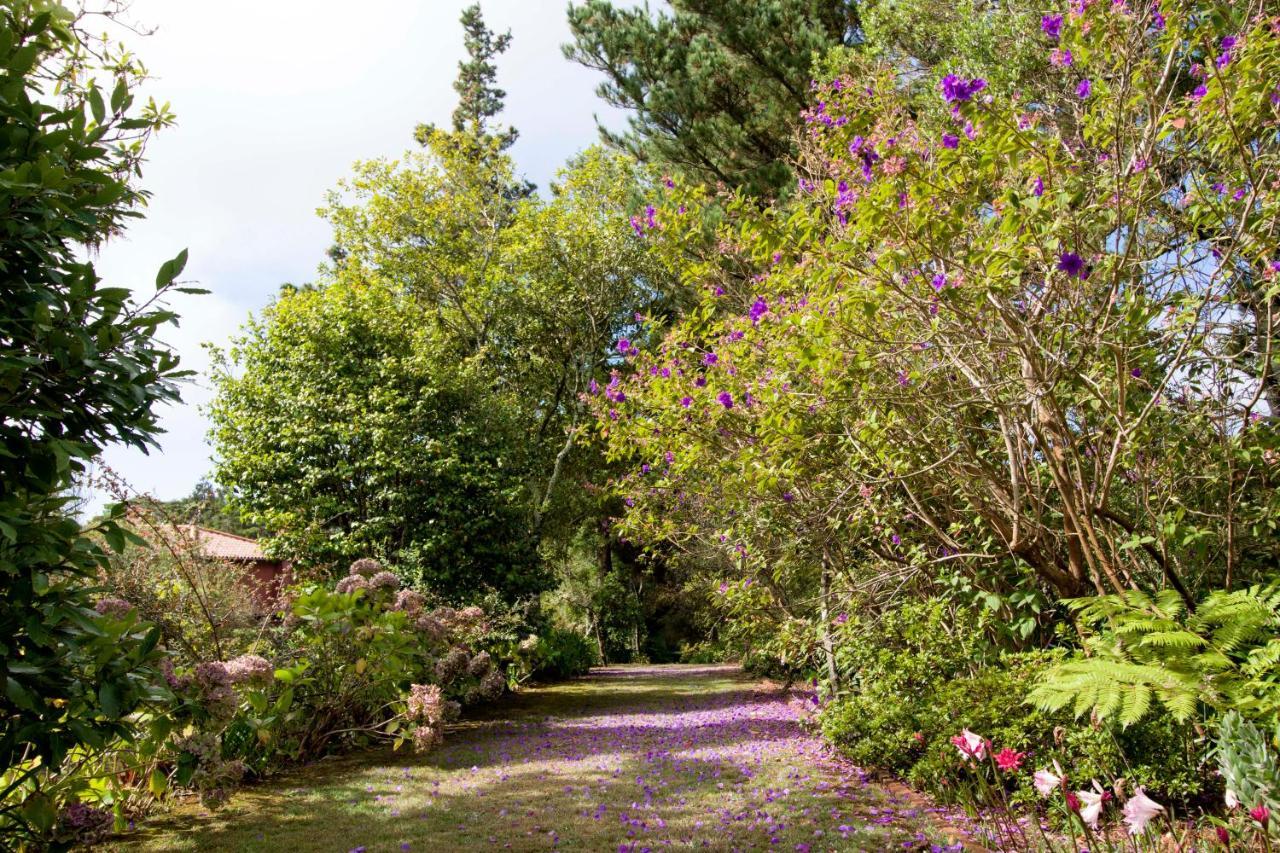 Quinta Santo Antonio Da Serra Extérieur photo